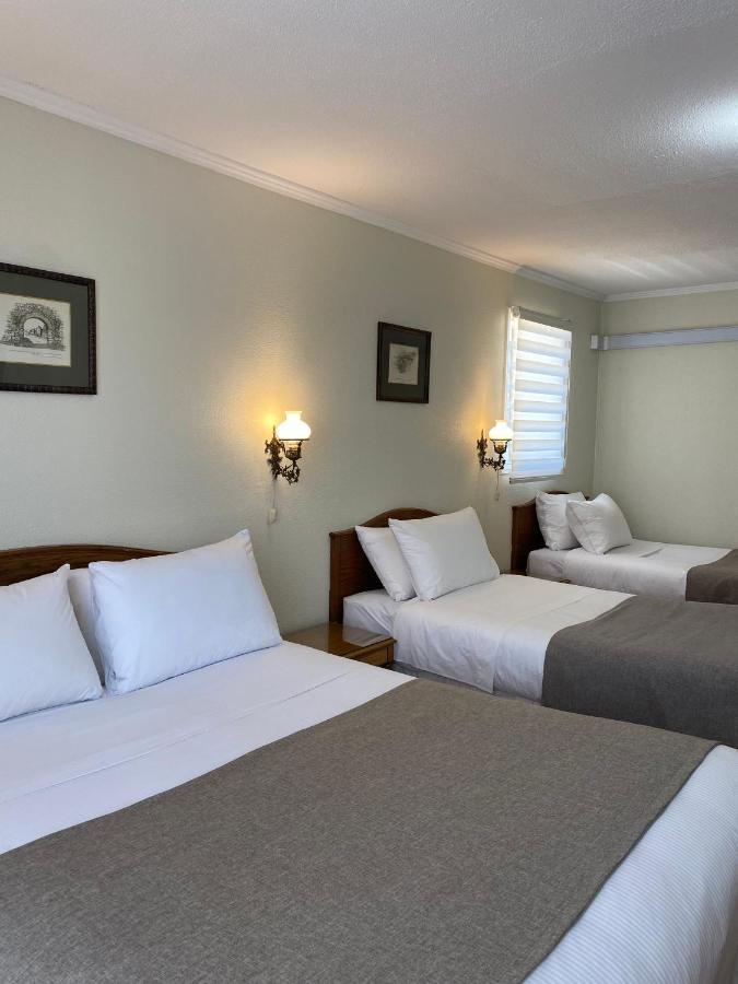 Hotel Melillanca Valdivia Ngoại thất bức ảnh